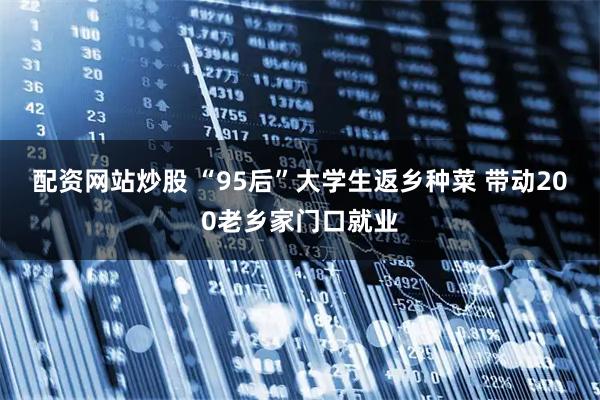 配资网站炒股 “95后”大学生返乡种菜 带动200老乡家门口就业