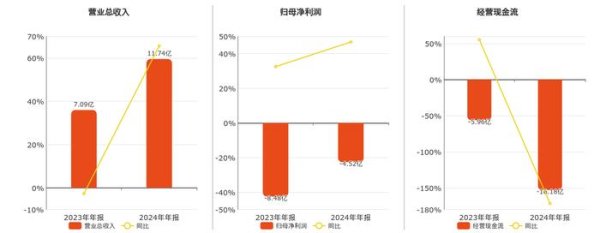寒武纪(688256.SH)：2024年年报净利润为-4.52亿元