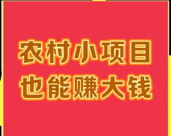在线炒股配资看必选 农村小项目也能赚大钱，年入十万真不难，不信来看！